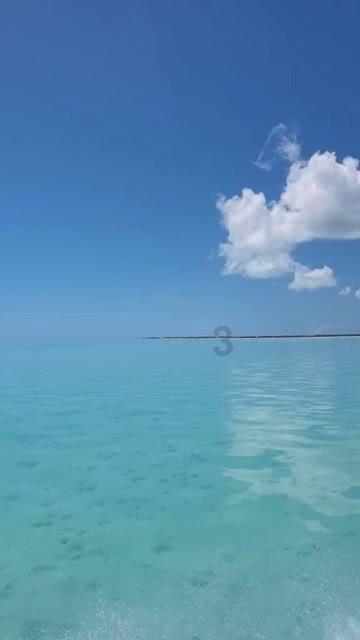 专业问答网站-信息管理与信息系统专业可以考哪个专业的教师资格证？，汇集真实有用的知识和答案